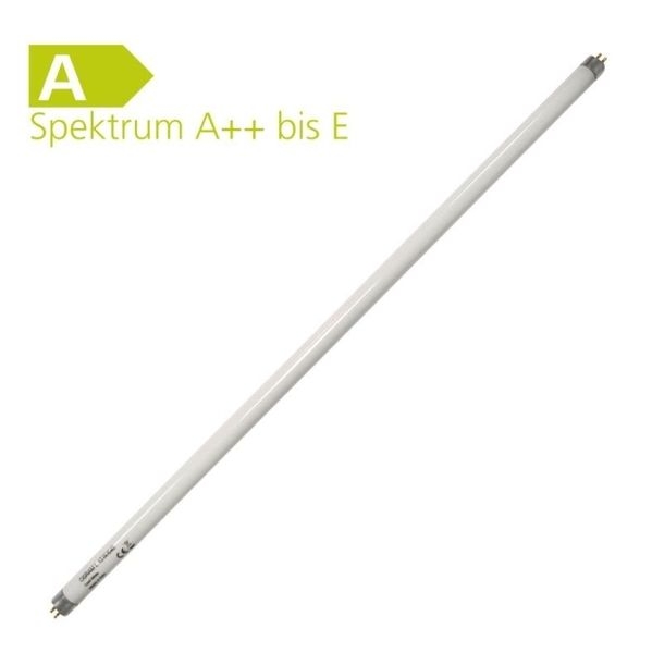 Leuchtstofflampe Basic T5 Short 13 Watt