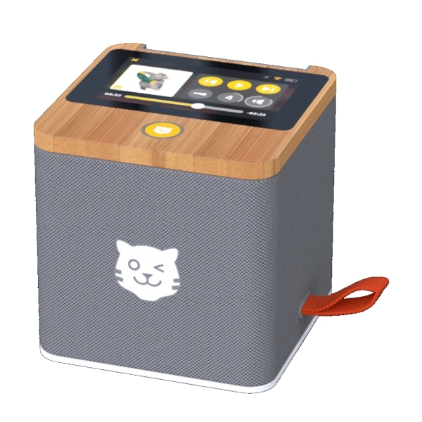 tigerbox Touch Tiger Farbe grau