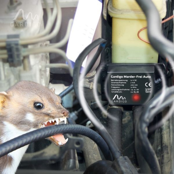 Marder-Frei Auto 12 Volt