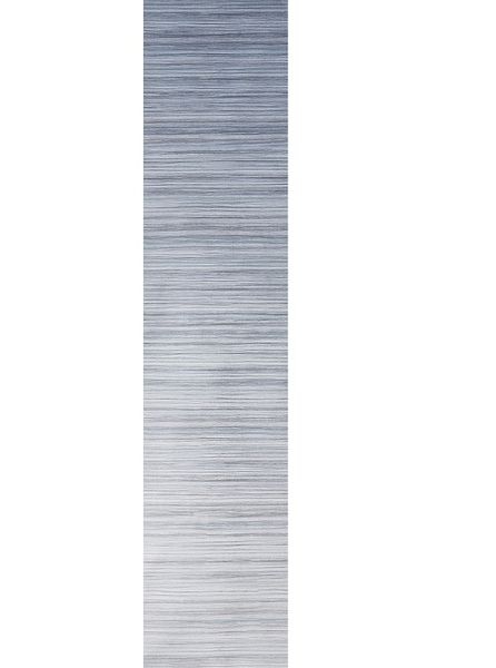 Fiamma Dachmarkise F65 L 450 Gehäuse Polarweiß Tuchfarbe Royal Blue