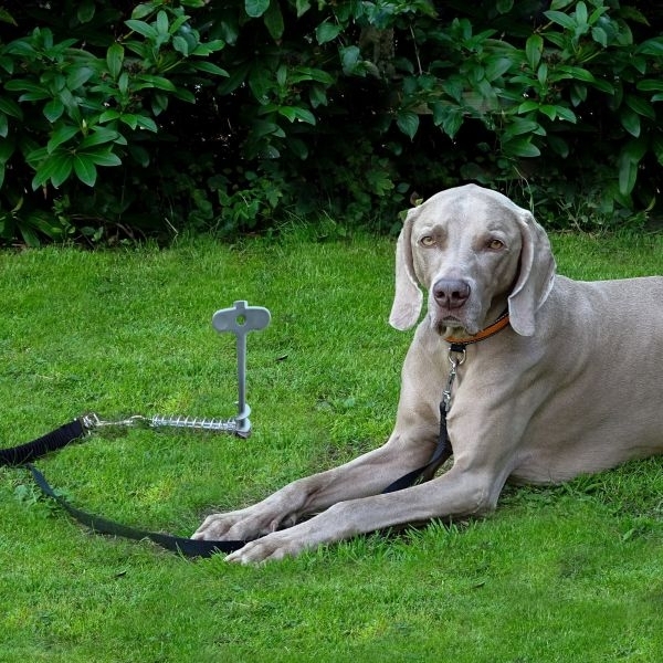 Hundehering – Bodenanker für Haustiere Edelstahl, Länge 34 cm