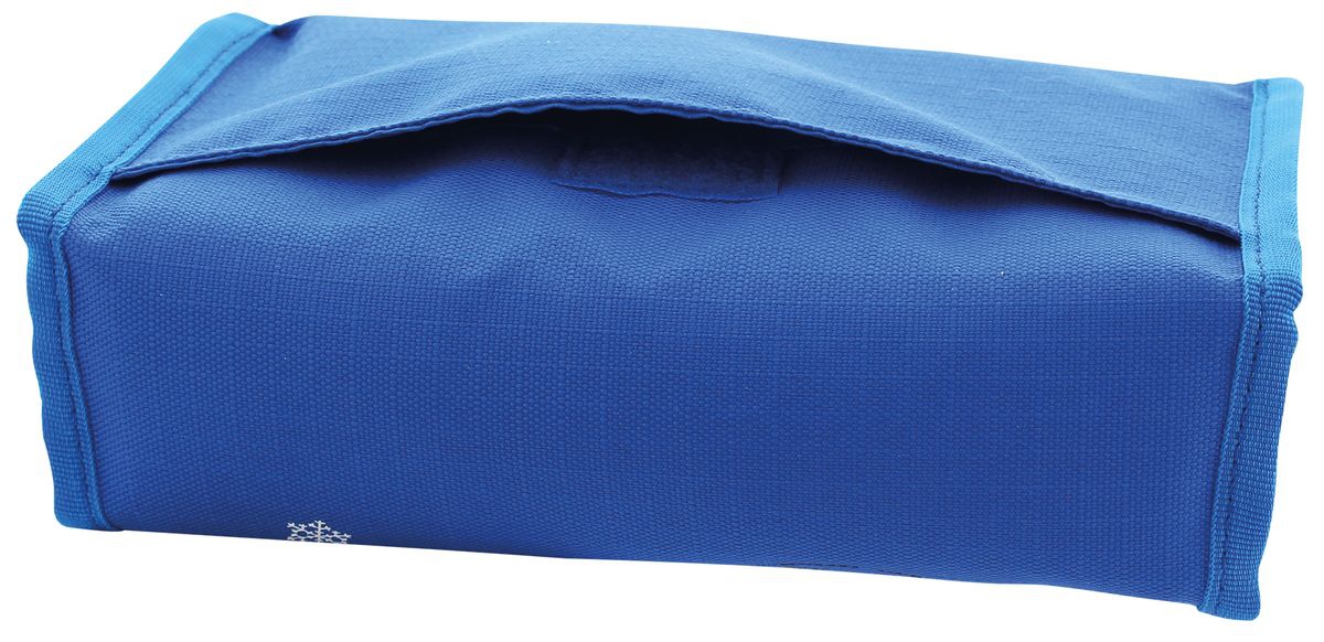 Iso Bag - Kühltasche für Medikamente