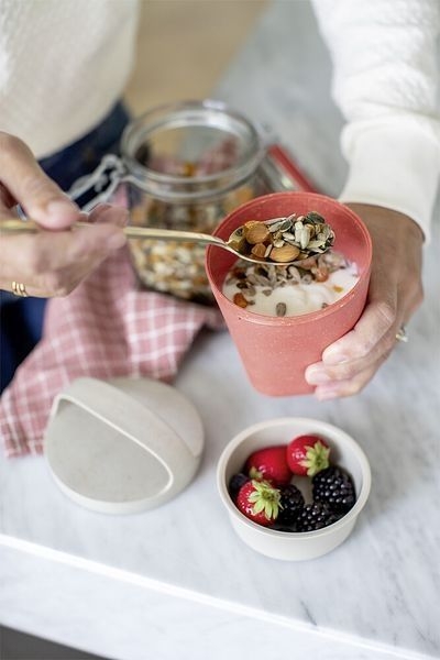 Snackpot Buddy 500ml